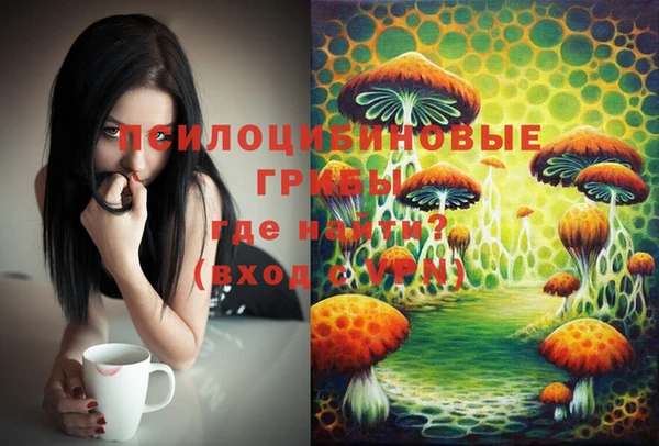 спайс Баксан