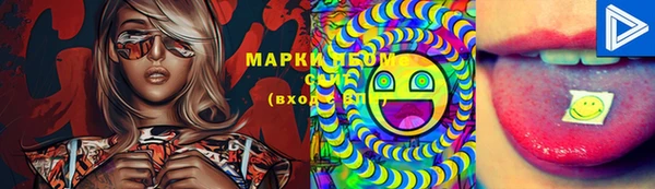 спайс Баксан